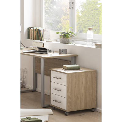 Lourdes 40.1cm Wide 3 -Drawer Mobile File Cabinet