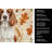 Welsh Springer Spaniel Heirloom Fall Kitchen Towel-1218231483