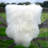 Huitt Wool Animal Print Indoor Rug