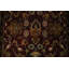 Tapis élégant élégant pour vestibule Agra