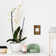Adorne® Touch 15 Amp Single Pole and 3-Way Light Switch with Microban
