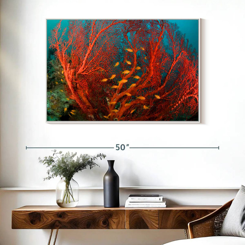 Fire Coral, Floating Frame White, 40" X 27"