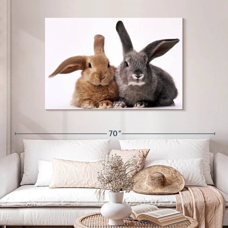 Lapins bruns et gris, H 32 po x l 48 po