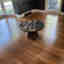 Customer photo 1 of 2