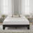 Heiss Open-Frame Bed-753695307-753695309