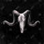 «Skeleton Skulls», art grunge sur toile noire