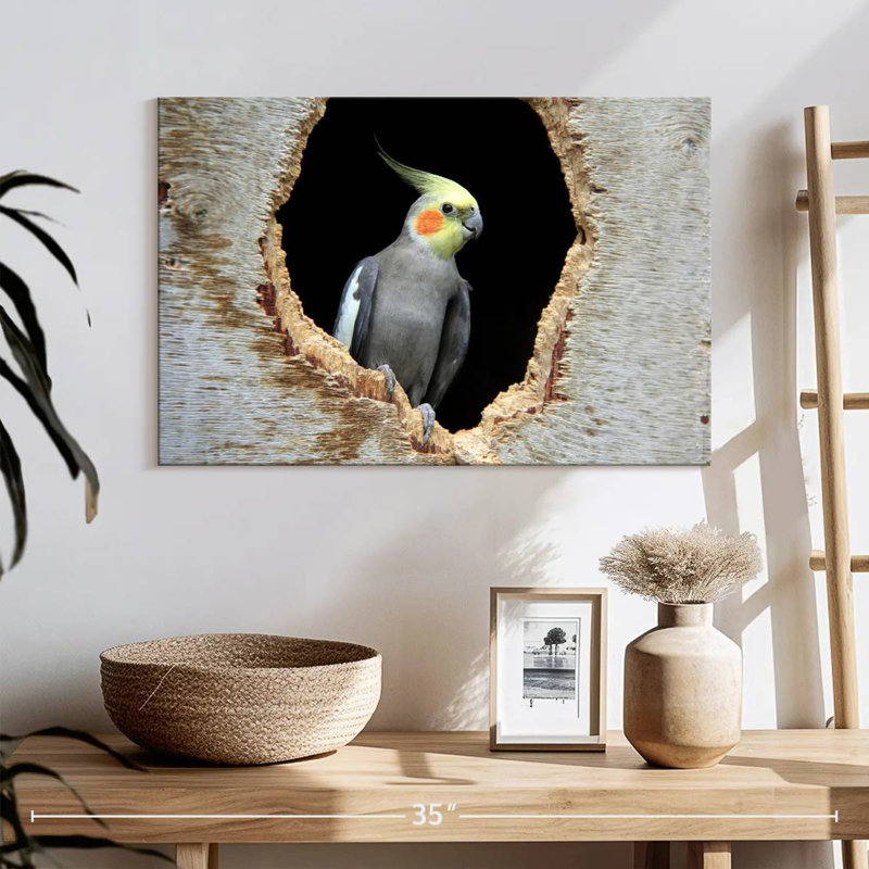 Cockatiel Brampt dans un trou, H 16 po x l 24 po