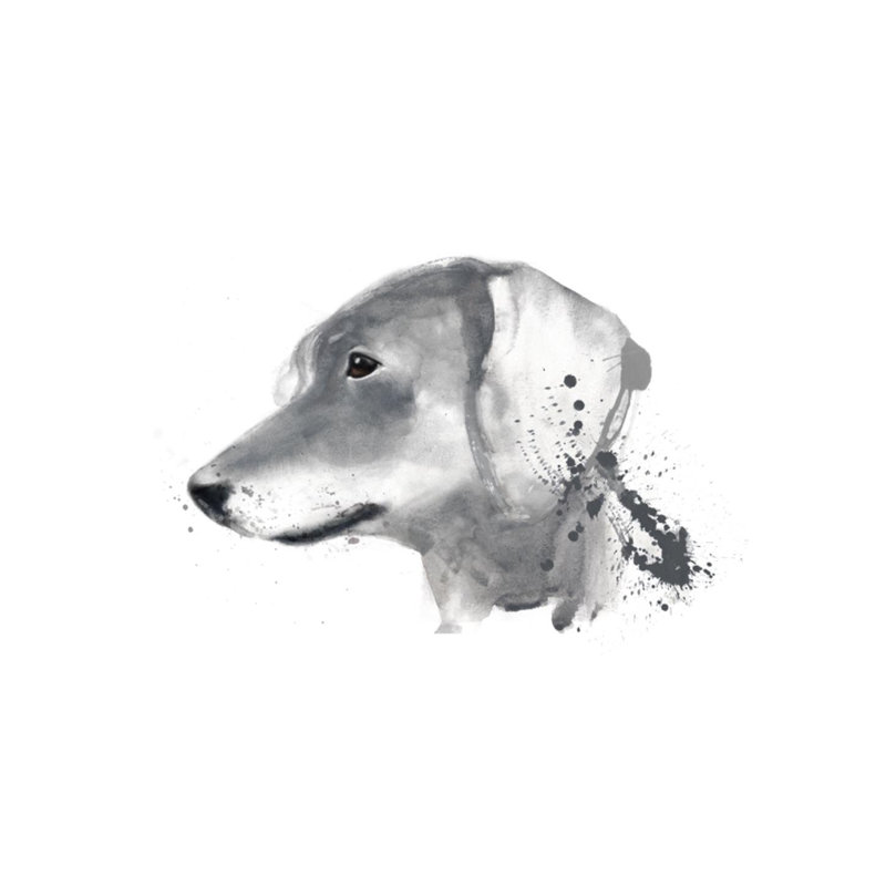Dog Days II Print by Emma Brooks, Outdoor, 40" H x 40" W x 1.5" D