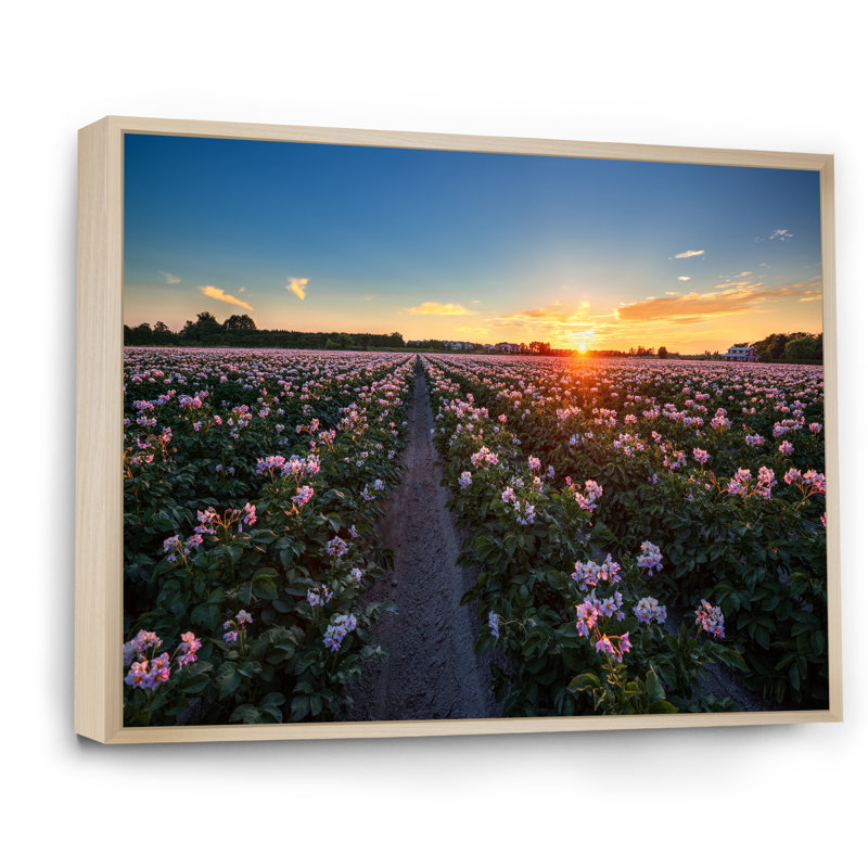 Fleurs vives au coucher du soleil - On, H 24 po x l 36 po x P 0,1 po, Toile avec cadre flottant brun
