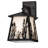 Rustic Lodge Solid Brass Armed Sconce