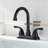 Centerset 2-handle Bathroom Faucet with Drain Assembly-45127788