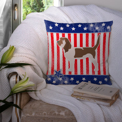 Coussin intérieur/extérieur Patriotic