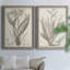 Sépia, plantes exotiques, toile encadrée VIIP Premium - prête à être accrochée-1397594312-1397594313