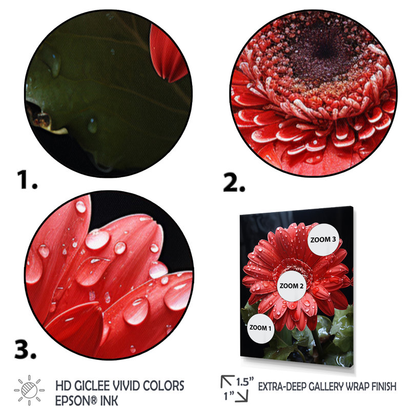 Red Daisiy Flowers I - Art mural sur toile florale, Encadrement doré, H 40 po x l 30 po x P 1,5 po