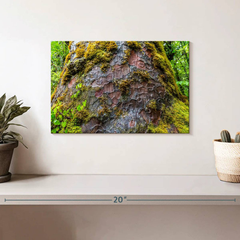 Mossy Kauri Tree, 8" H x 12" W