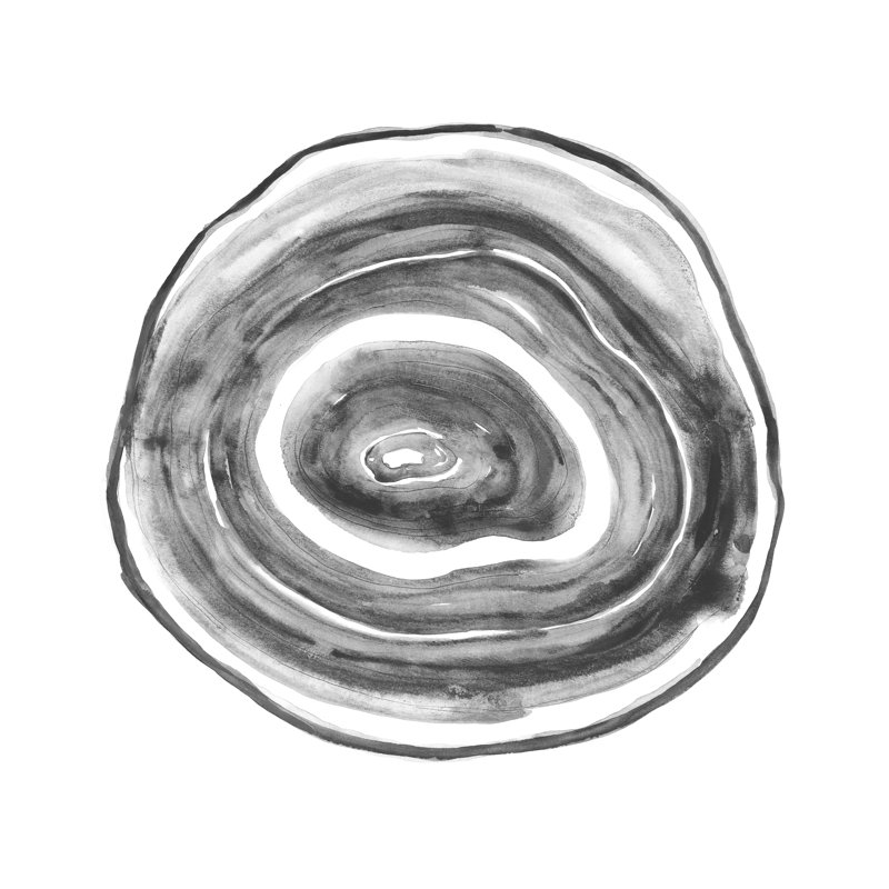 Tree Ring Abstract - Wrapped Canvas Painting, 51cm H x 51cm W x 3.8cm D