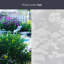 Clouds Window Film 24" x 36"