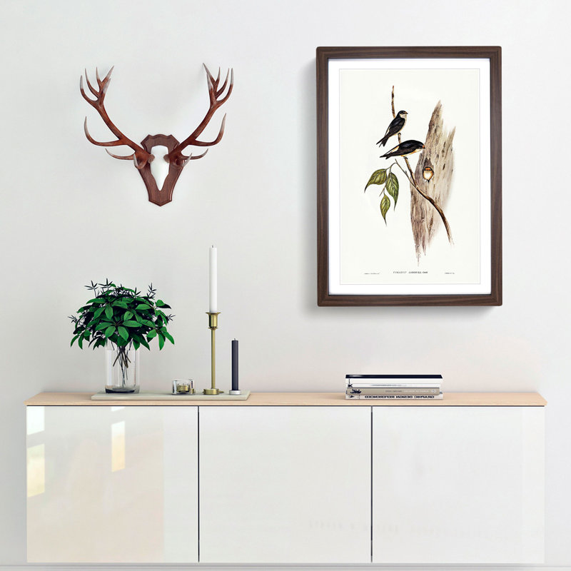 Tree Martins by Elizabeth Gould - Picture Frame Painting Print, 48cm H x 36cm W x 2cm D, Walnut Framed