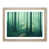 Oak Framed selected