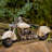 Massingill Transportation Model Car Or Vehicle