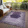 Flitwick Indoor/Outdoor Area Rug with Non-Slip Backing