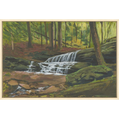 Petite Falls Print by Sam Nash