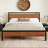 Minas Platform Bed - King - Walnut-789165571-726153080