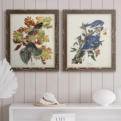 " Pl 107 Canada Jay " 2 - Pieces Painting Print