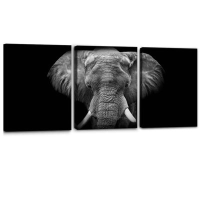 3 Piece Wrapped Canvas Print