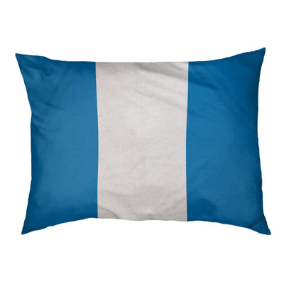 Coussin Designer