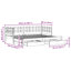 Escoba Solid Wood Daybed with Trundle