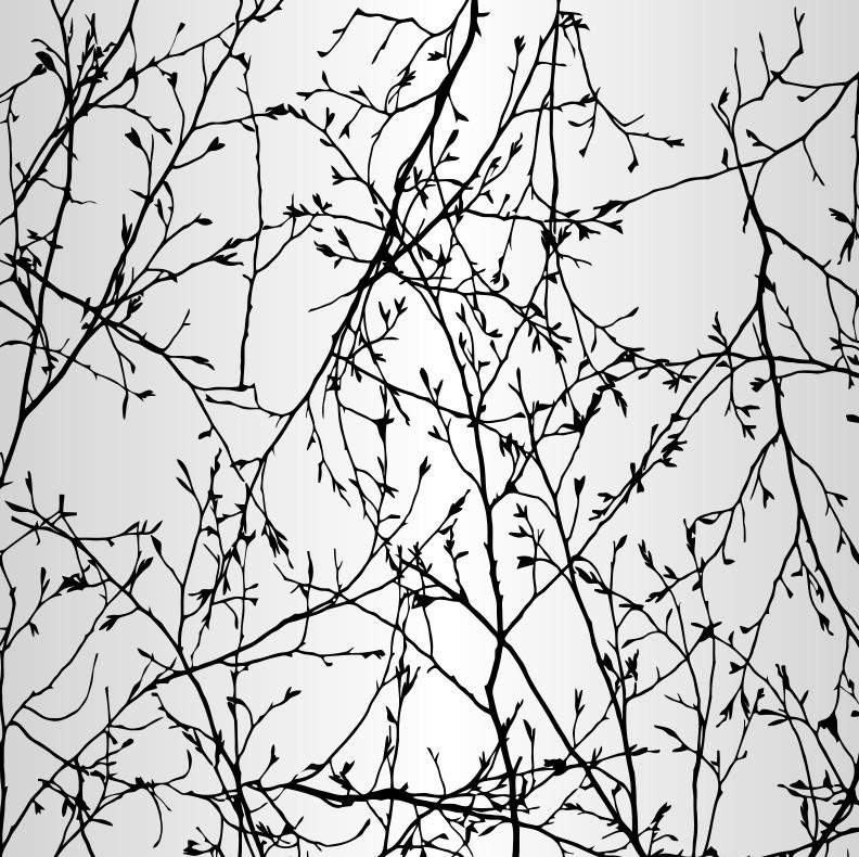 Branch Entanglement Floral Vinyl Metallic Wallpaper Roll by Jamie Graney, Pearl/Black