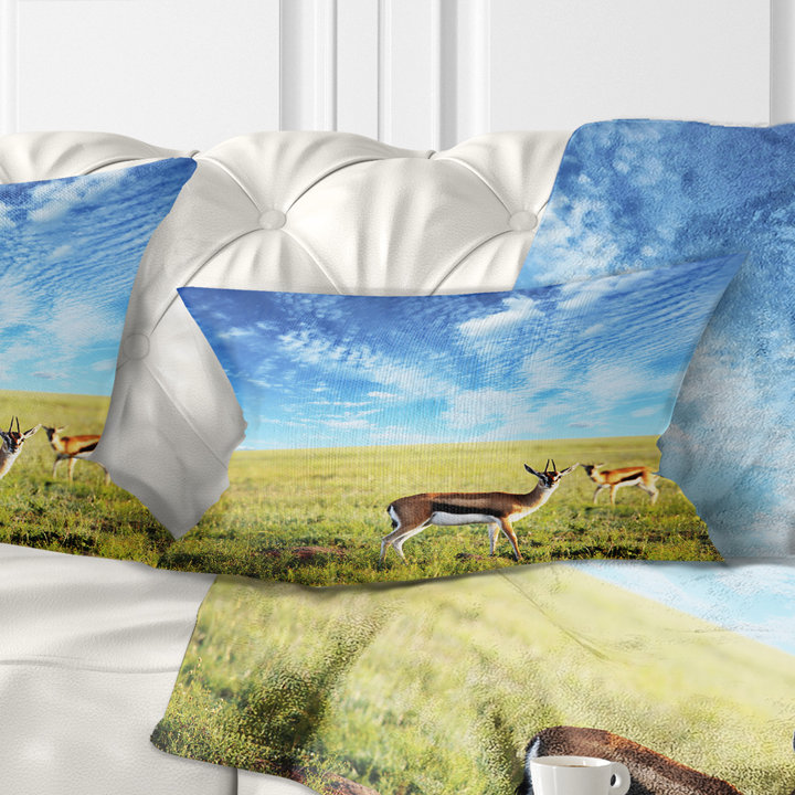 Coussin lombaire en antelopess africaines sous le ciel lumineux