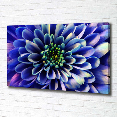 Aster - Wrapped Canvas Print