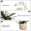 Arrangement de soie orchidée en pot