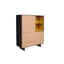Opus Solid Wood Accent Cabinet