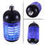 Ampoule 5 W à intensité variable