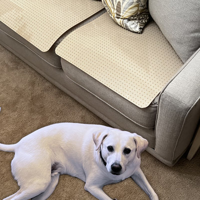 Tucker Murphy Pet™ Furniture Protector Pet Deterrent Tiles - Pet-Free Training Mat, Beige, 2 Pack