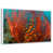 Floating Frame White selected
