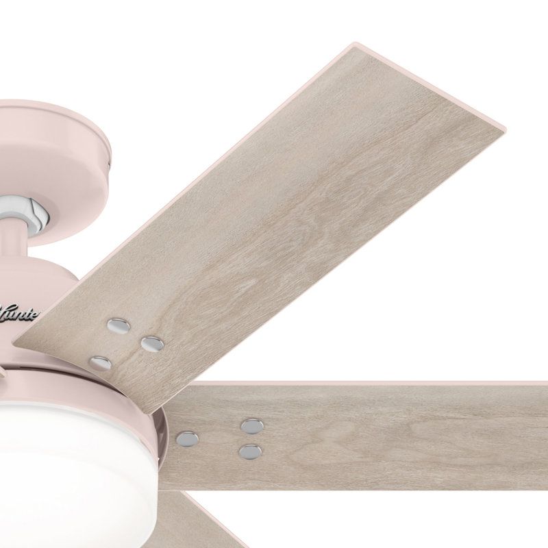 44" Pacer 6 - Blade Ceiling Fan with Lights and Remote, Blush Pink