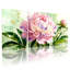 Pivoine fleur peinture à l'aquarelle sur toile tendue ensemble de 3 panneaux pour salon chambre à coucher-1345825859