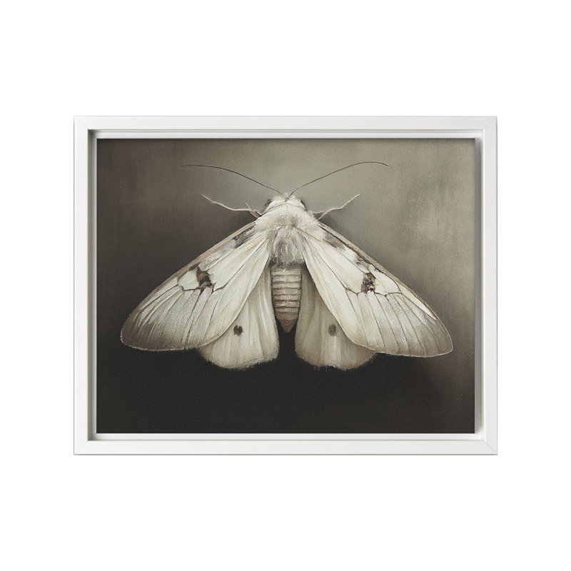 Mite, Canevas, Encadrement blanc, H 16 po x l 20 po