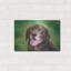 «Chocolate Labrador Retriever Dog» par Rebecca Wang Art-126748353