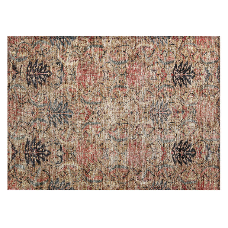 Chayil Machine Washable Indoor/Outdoor Rug