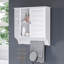 Needville Wall Bathroom Cabinet