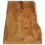 Vidaxl Table Top Solid Wood Mango-102731051