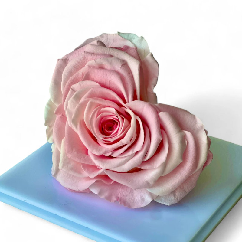 Arrangement de roses en boîte