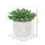 Plante grasse artificielle en pot