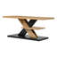 Coffee Table with Storage