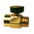 PVD Polished Brass